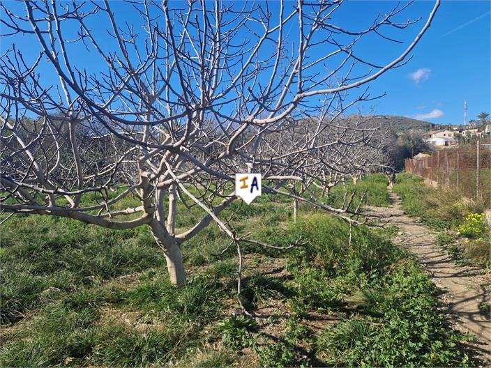 Image No.3-Land for sale