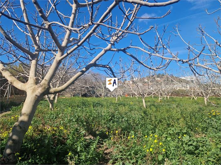 Image No.4-Land for sale