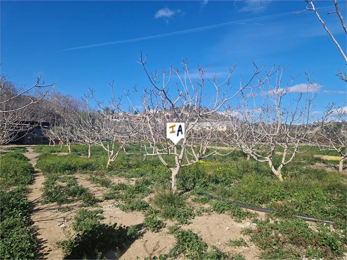 Image No.5-Land for sale