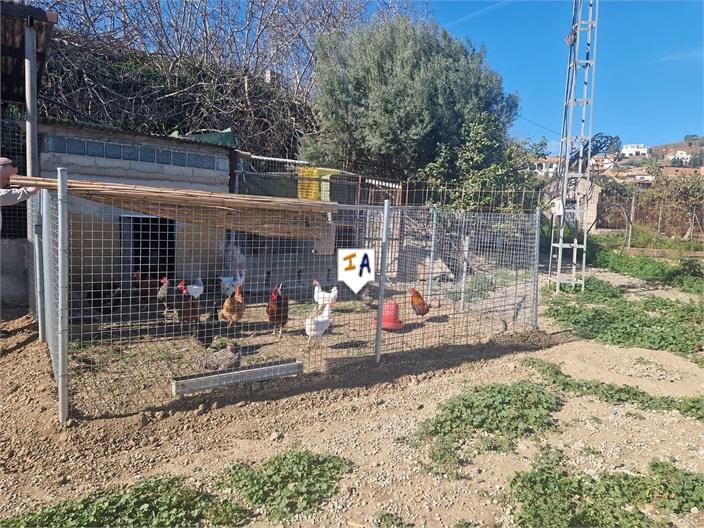 Image No.8-Land for sale