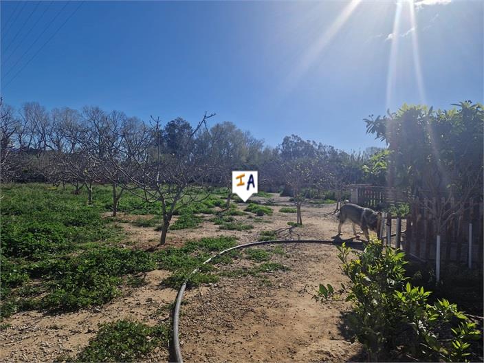 Image No.9-Land for sale