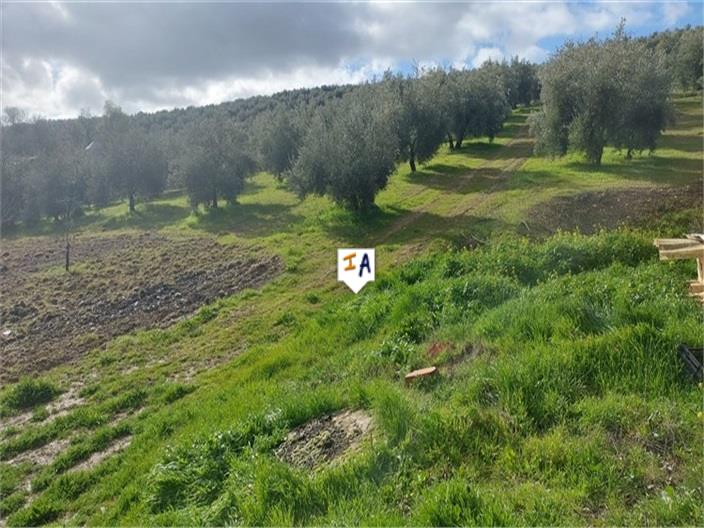 Image No.5-2 Bed House for sale