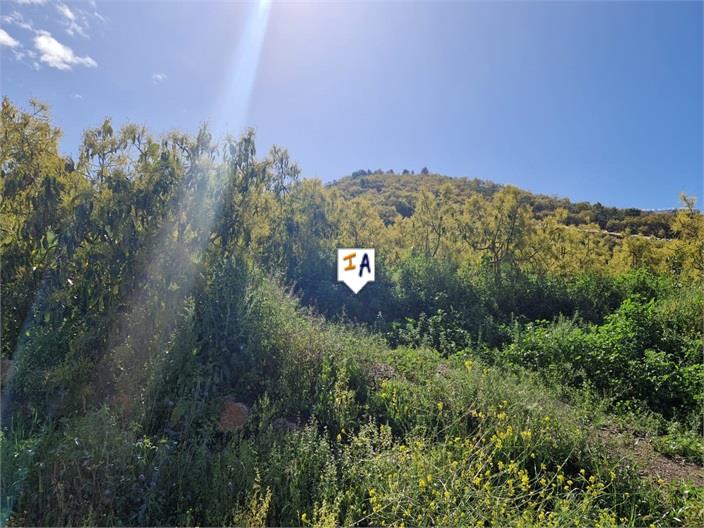 Image No.3-3 Bed Finca for sale