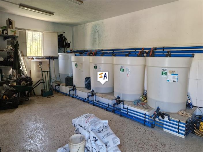 Image No.8-3 Bed Finca for sale