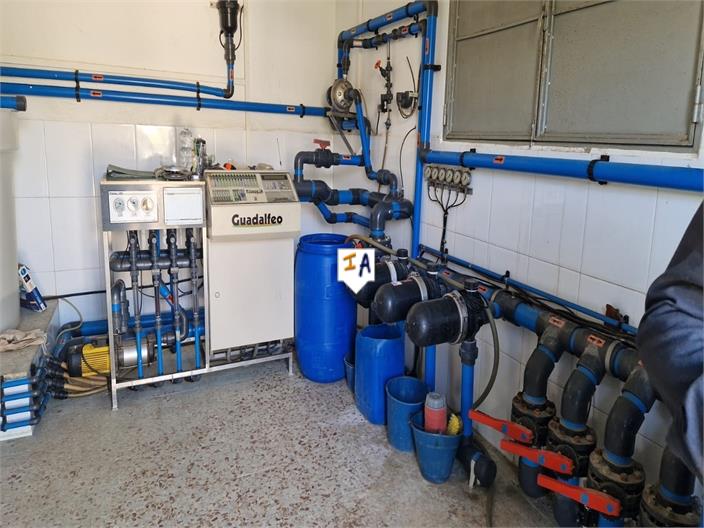 Image No.9-3 Bed Finca for sale