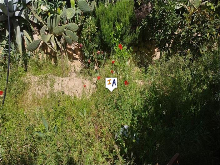 Image No.6-Farmhouse for sale