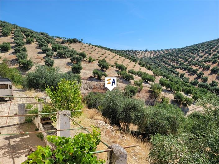 Image No.17-4 Bed Farmhouse for sale