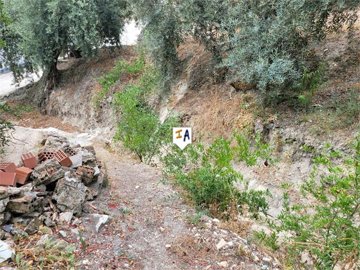 th595415