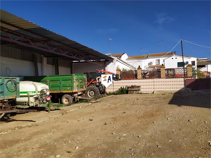 Image No.11-House for sale