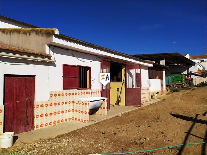 Image No.3-House for sale