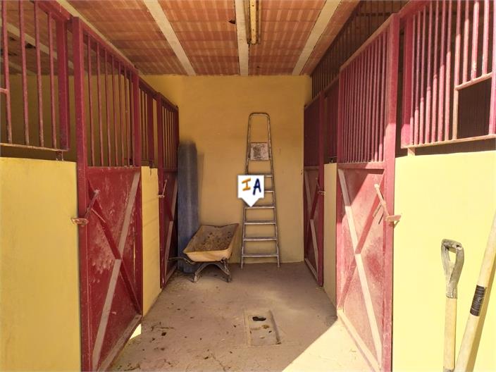 Image No.5-House for sale