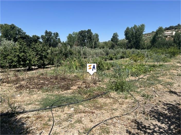 Image No.15-3 Bed Farmhouse for sale