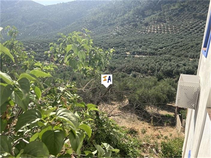 Image No.15-Ferme de 6 chambres à vendre à Rute