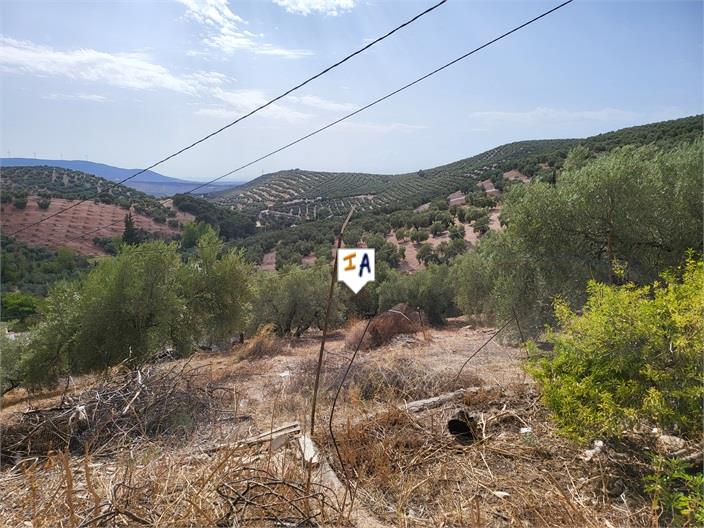 Image No.5-6 Bed Farmhouse for sale