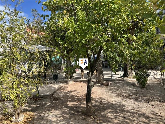 Image No.4-3 Bed House for sale