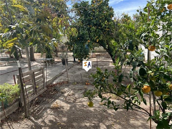 Image No.5-3 Bed House for sale