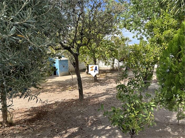 Image No.7-3 Bed House for sale