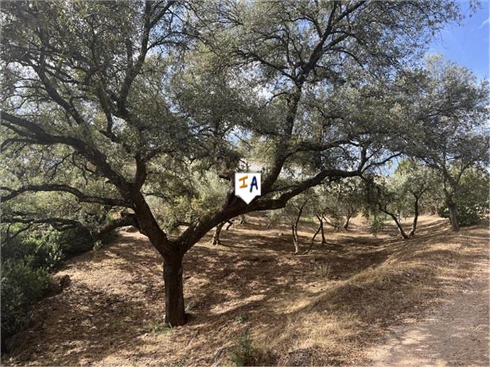 Image No.15-4 Bed Farmhouse for sale