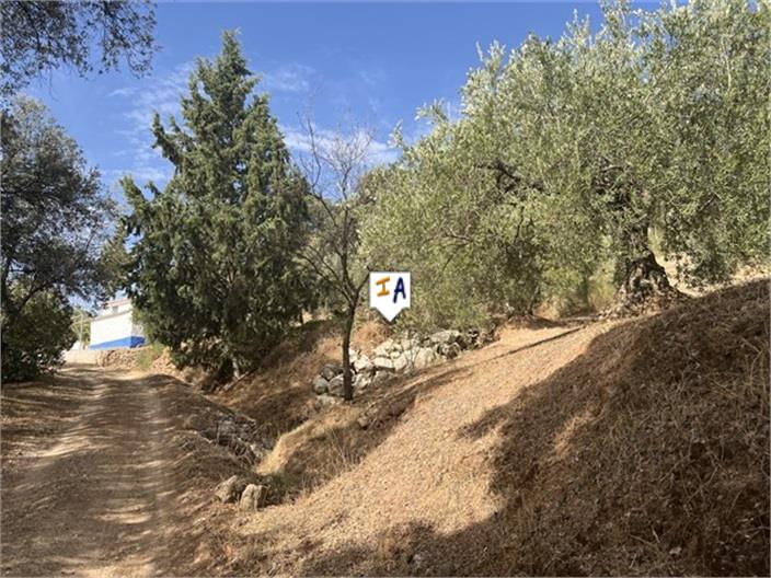 Image No.16-4 Bed Farmhouse for sale