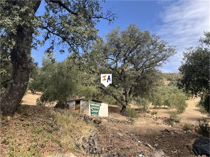 Image No.8-4 Bed Farmhouse for sale