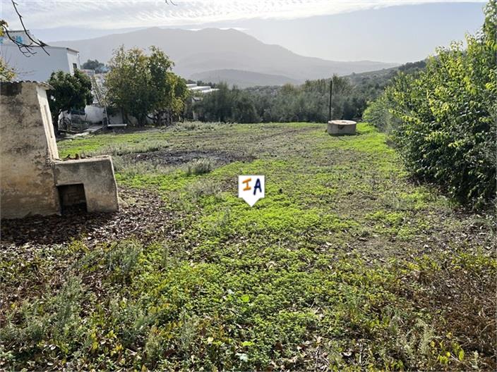 Image No.17-5 Bed House for sale