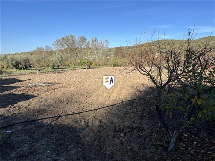 Image No.5-2 Bed Farmhouse for sale