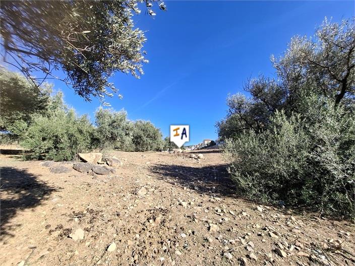 Image No.12-2 Bed House for sale