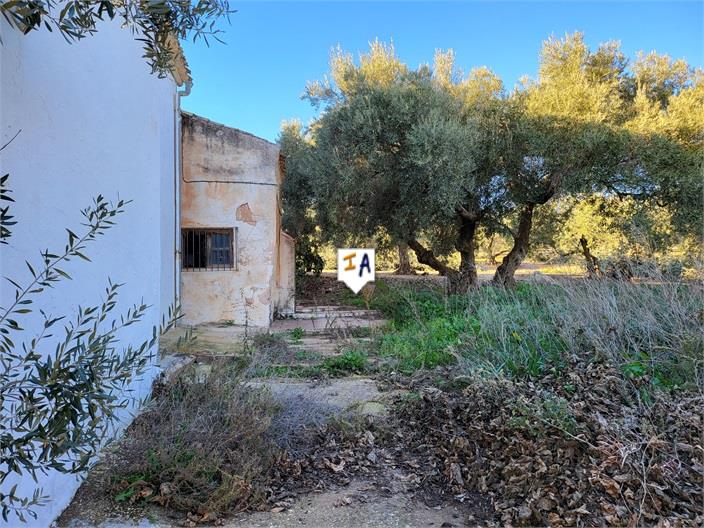 Image No.15-3 Bed Farmhouse for sale