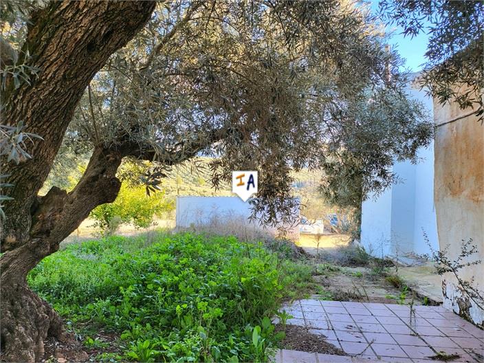 Image No.6-3 Bed Farmhouse for sale