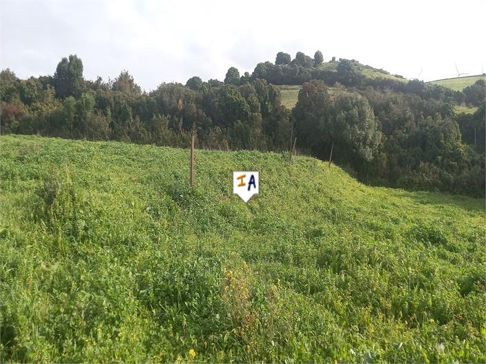 Image No.11-Land for sale