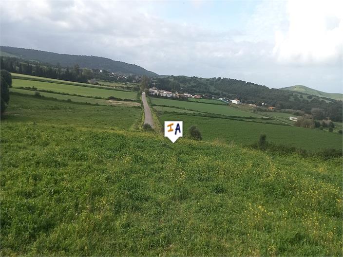 Image No.13-Land for sale