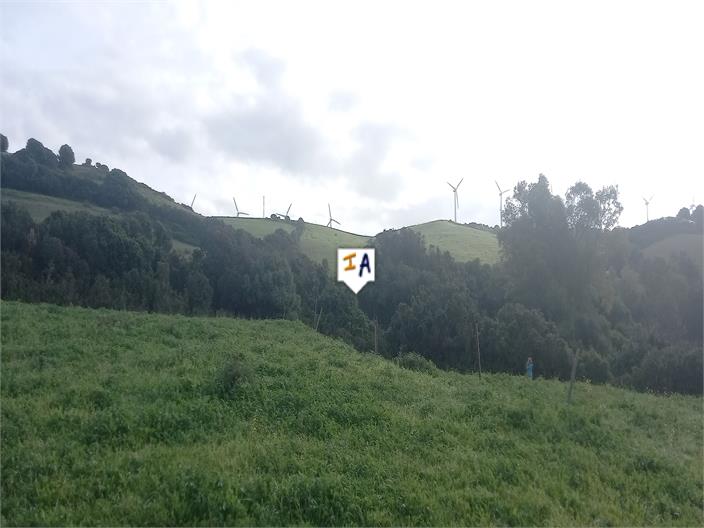 Image No.15-Land for sale