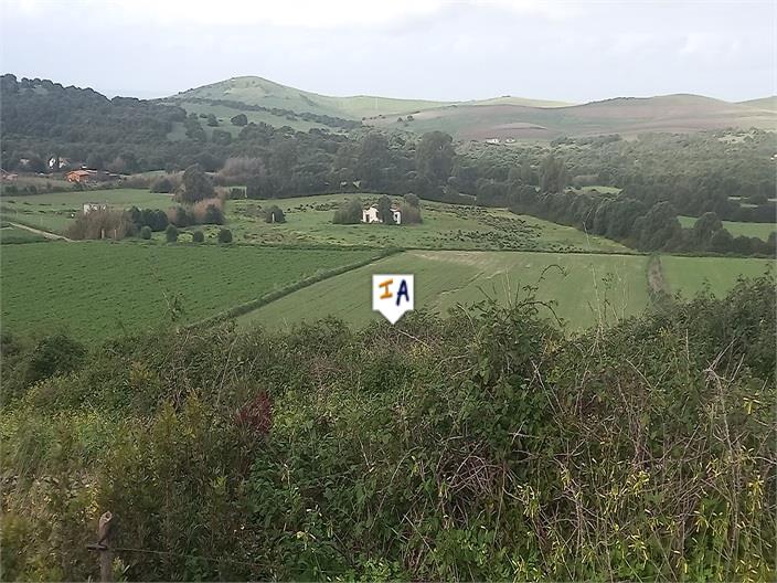 Image No.5-Land for sale