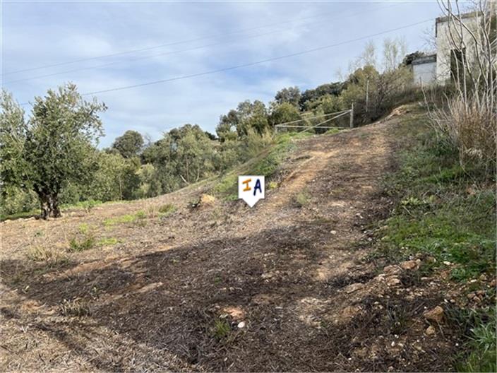 Image No.12-2 Bed Farmhouse for sale