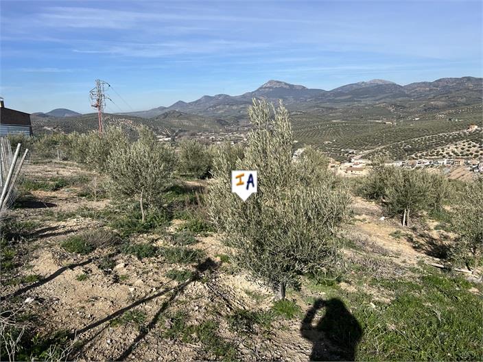 Image No.3-5 Bed House for sale