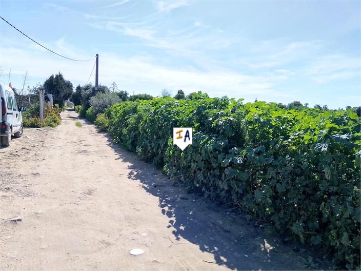 Image No.4-Land for sale