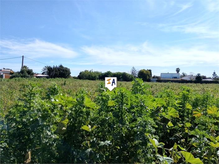 Image No.8-Land for sale