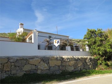cj9131