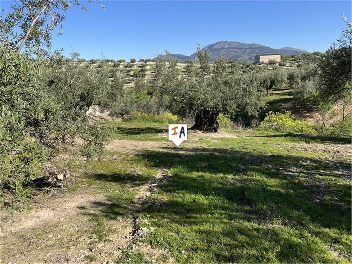 Image No.4-5 Bed Farmhouse for sale