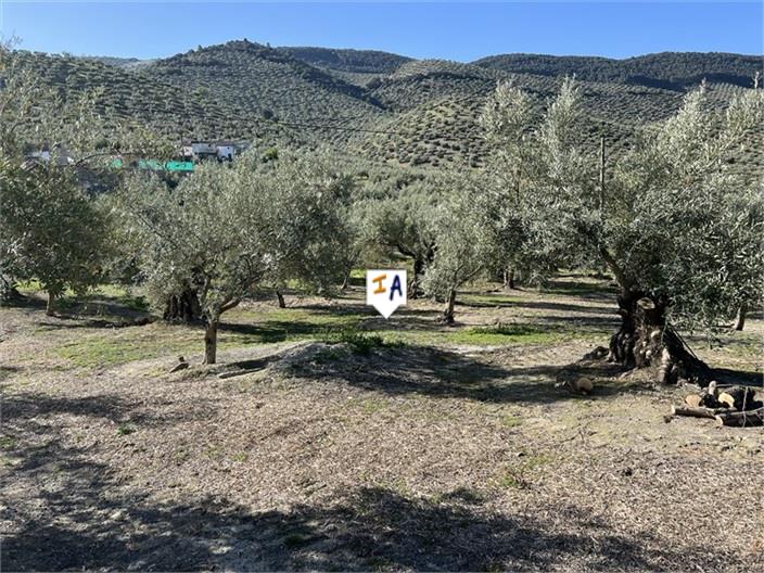 Image No.6-5 Bed Farmhouse for sale