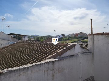 th613313