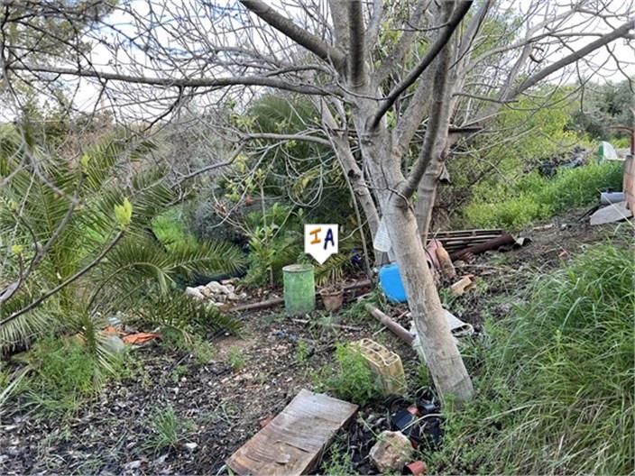 Image No.17-2 Bed House for sale