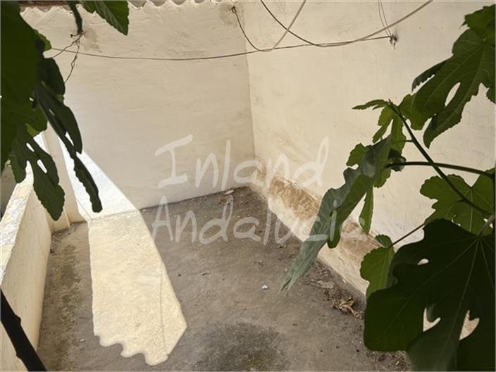 Image No.15-4 Bed House for sale