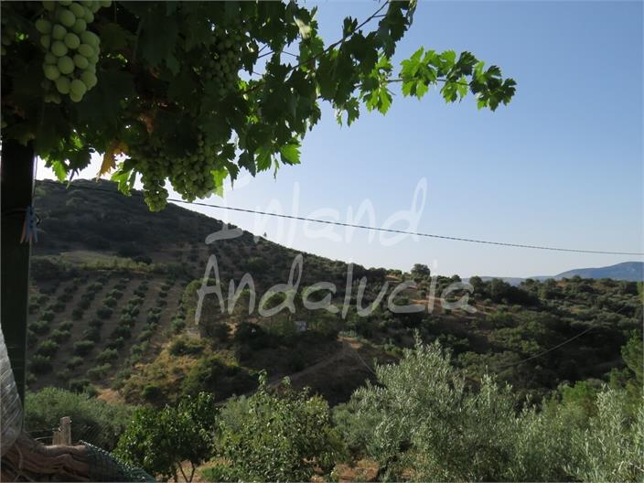 Image No.8-5 Bed Farmhouse for sale