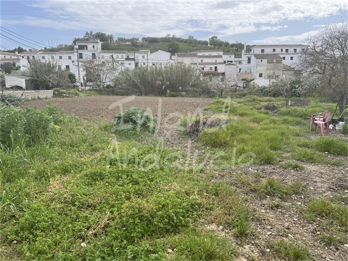 Image No.16-5 Bed House for sale