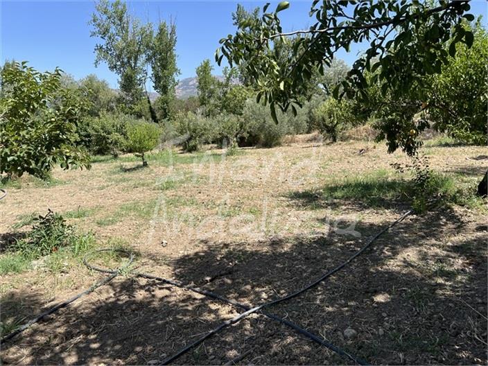 Image No.16-2 Bed House for sale