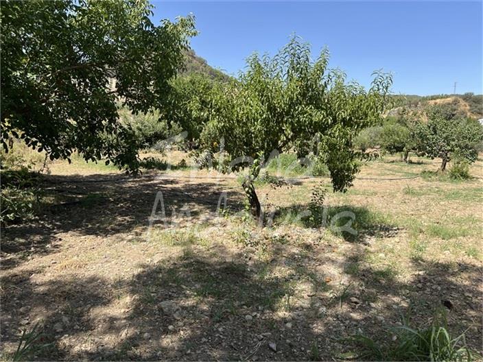 Image No.17-2 Bed House for sale