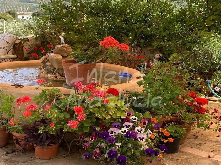 Image No.3-4 Bed Farmhouse for sale