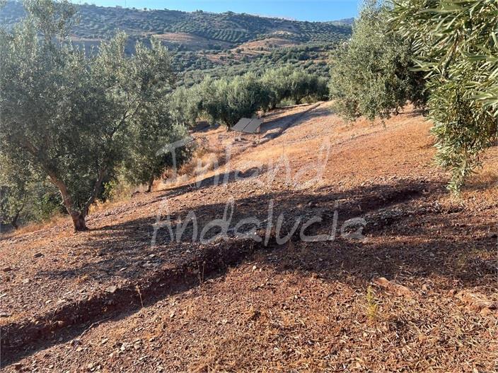 Image No.2-Land for sale