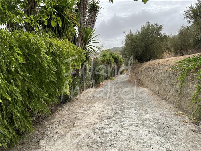 Image No.4-4 Bed Farmhouse for sale